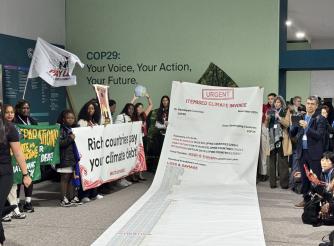COP29 Invoice Action